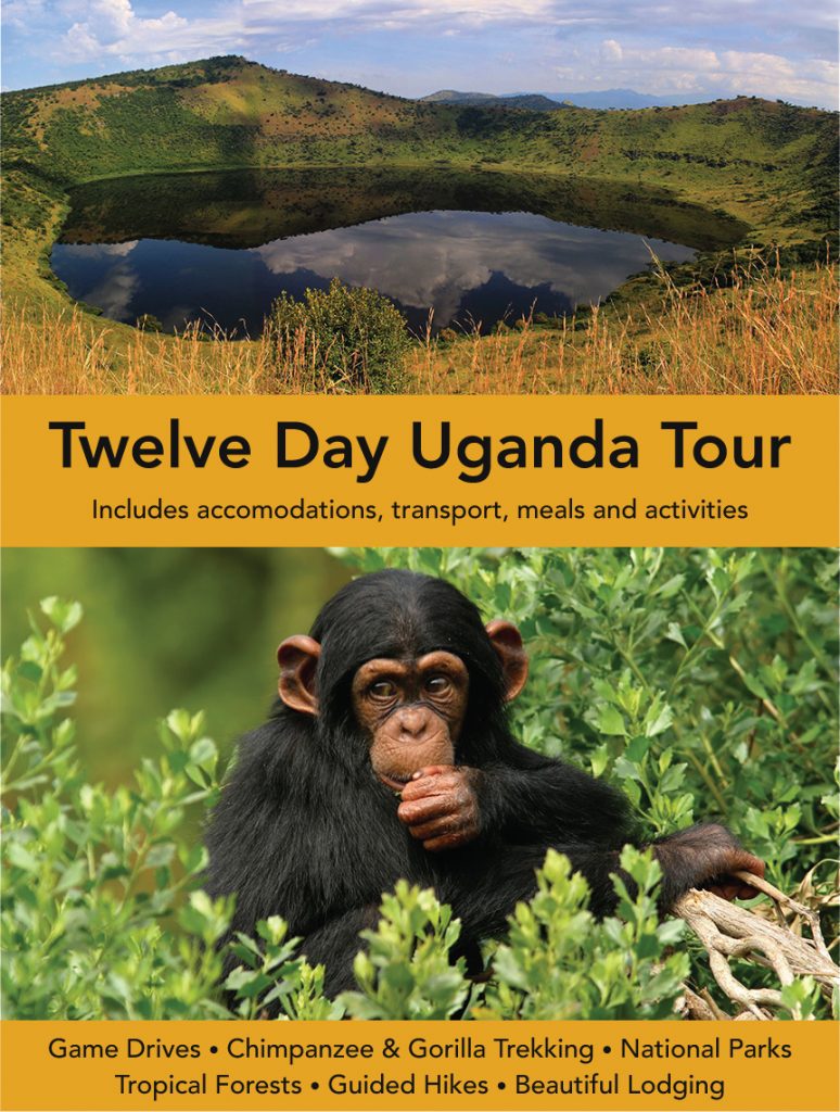 Twelve Day Uganda Tour